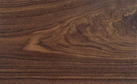 what does walnut wood look like